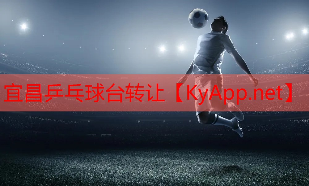 宜昌乒乓球台转让