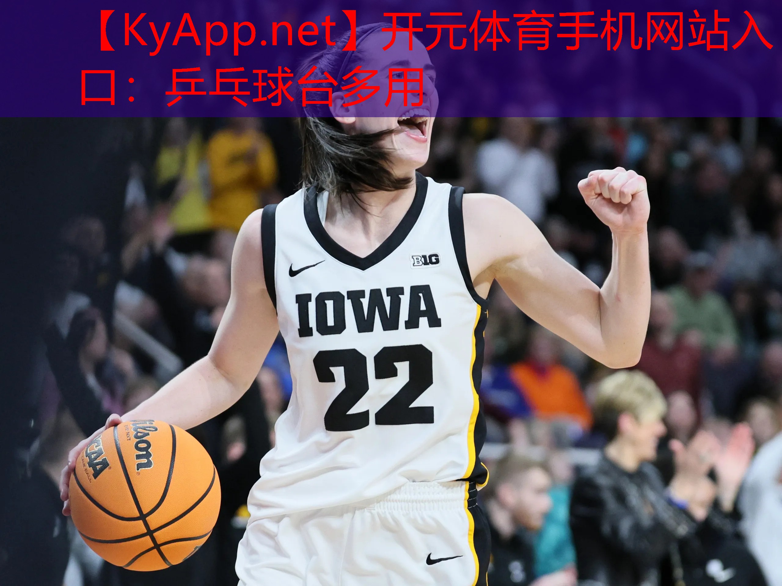 <strong>开元体育手机网站入口：乒乓球台多用</strong>