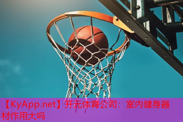<strong>开元体育公司：室内健身器材作用大吗</strong>