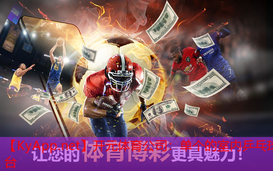 开元体育公司：单个的室内乒乓球台