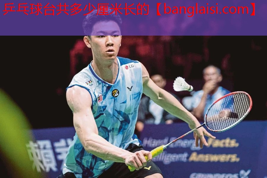 <strong>乒乓球台共多少厘米长的</strong>