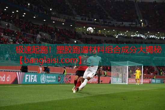 <strong>极速起跑！塑胶跑道材料组合成分大揭秘</strong>