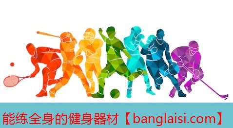 能练全身的健身器材