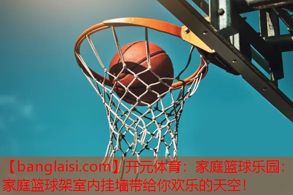<strong>开元体育：家庭篮球乐园：家庭篮球架室内挂墙带给你欢乐的天空！</strong>