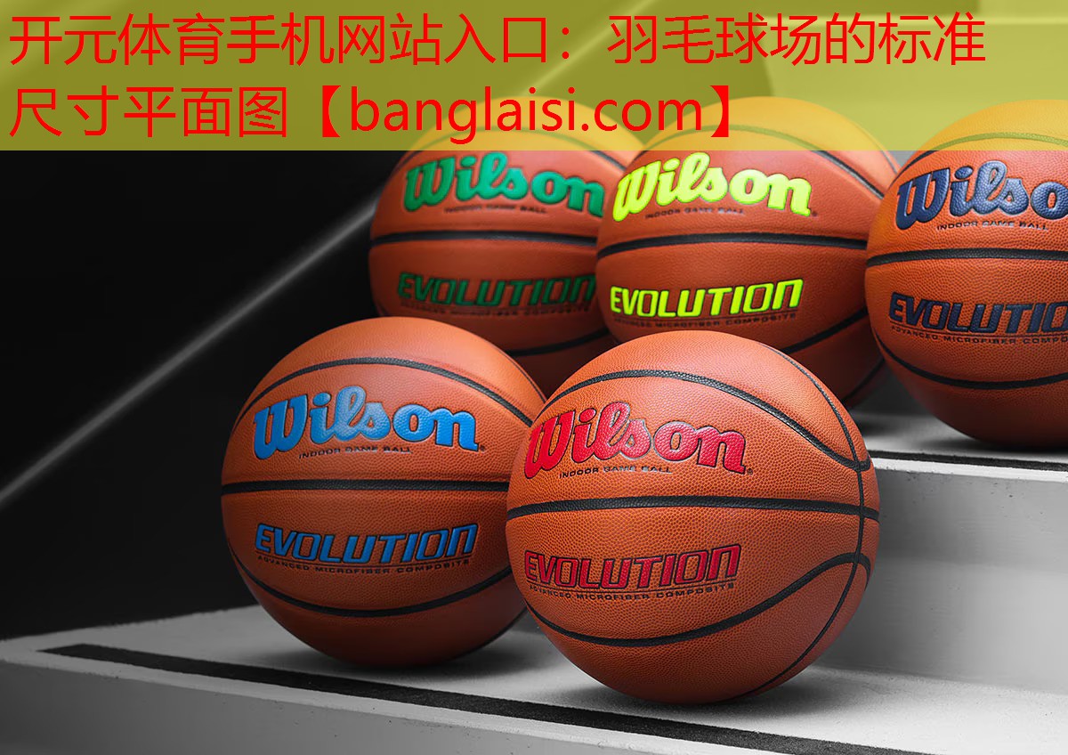 <strong>开元体育手机网站入口：羽毛球场的标准尺寸平面图</strong>