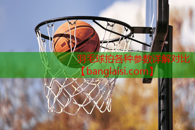 <strong>羽毛球拍各种参数详解对比</strong>