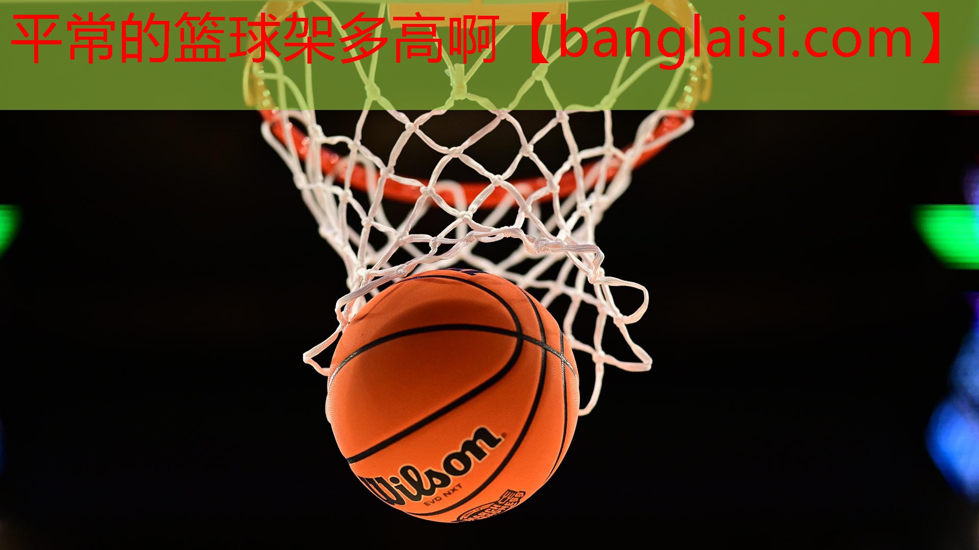 <strong>平常的篮球架多高啊</strong>