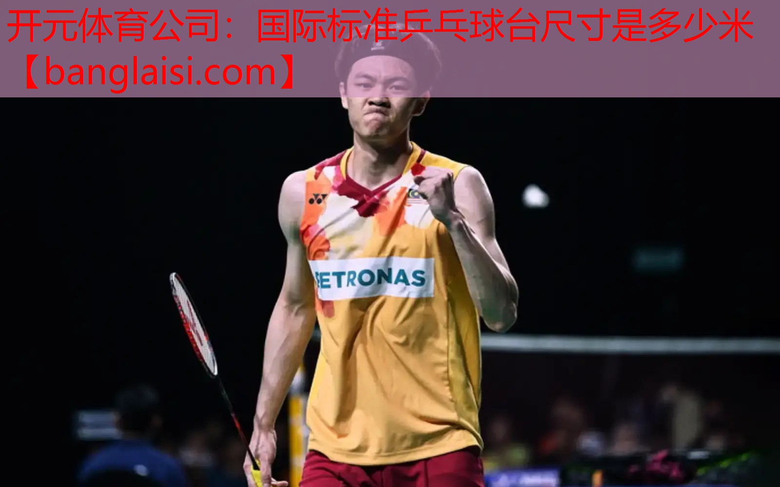 开元体育公司：国际标准乒乓球台尺寸是多少米