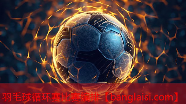 羽毛球循环赛比赛编排