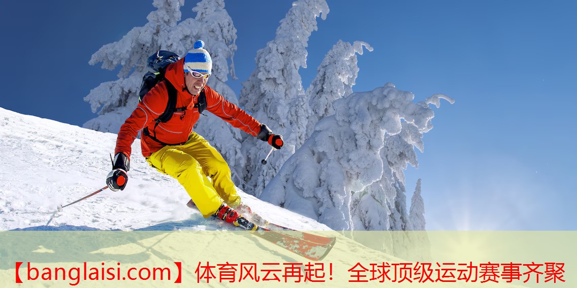 体育风云再起！全球顶级运动赛事齐聚