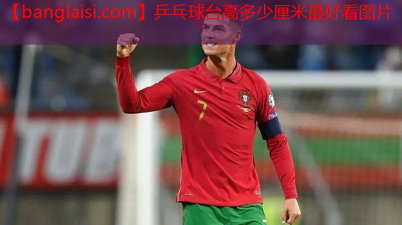 乒乓球台高多少厘米最好看图片