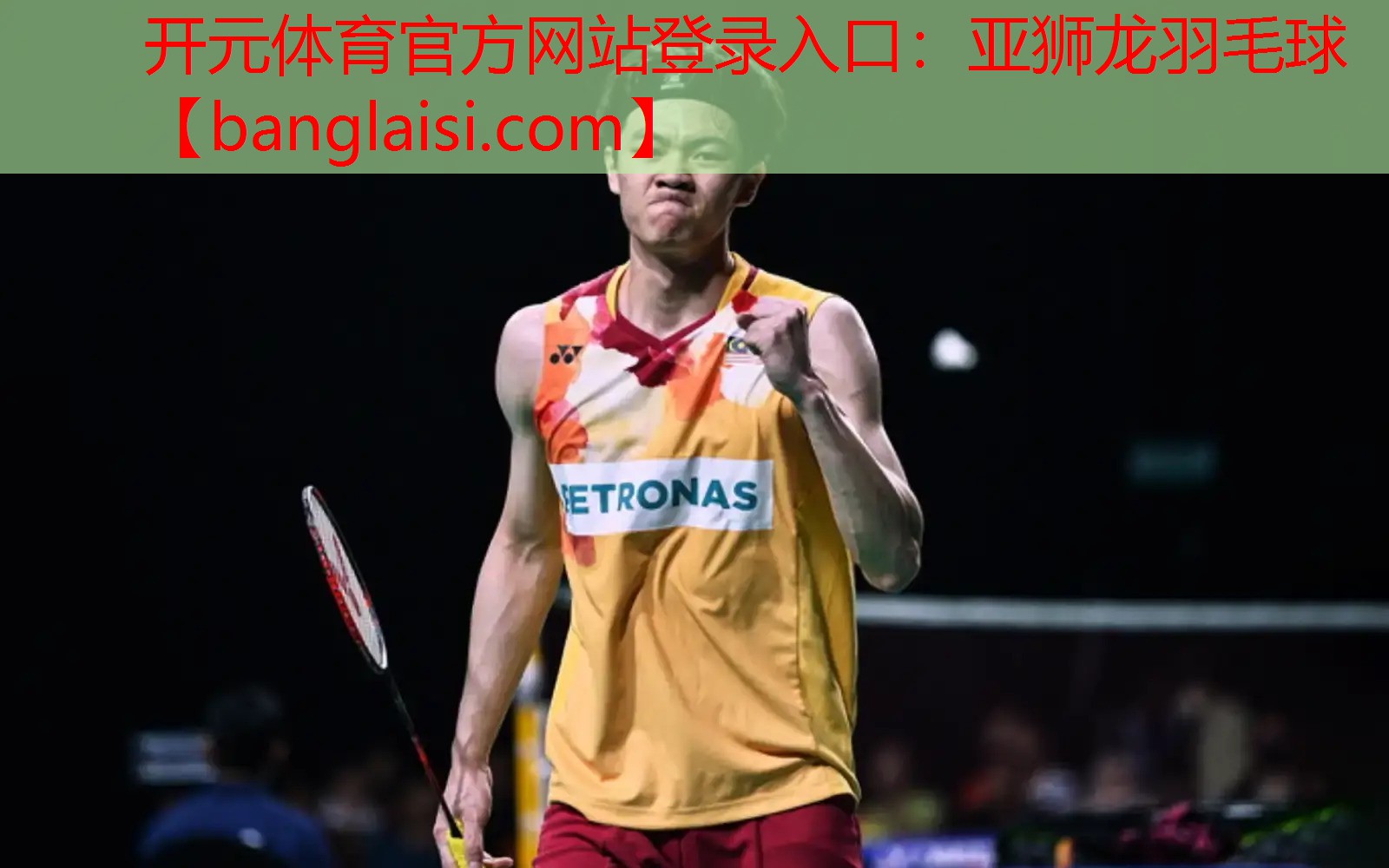 <strong>开元体育官方网站登录入口：亚狮龙羽毛球</strong>