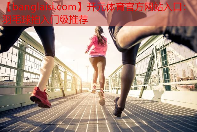 开元体育官方网站入口：羽毛球拍入门级推荐