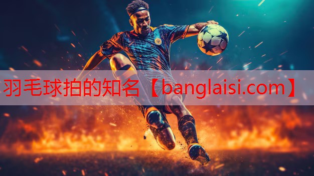 <strong>羽毛球拍的知名</strong>