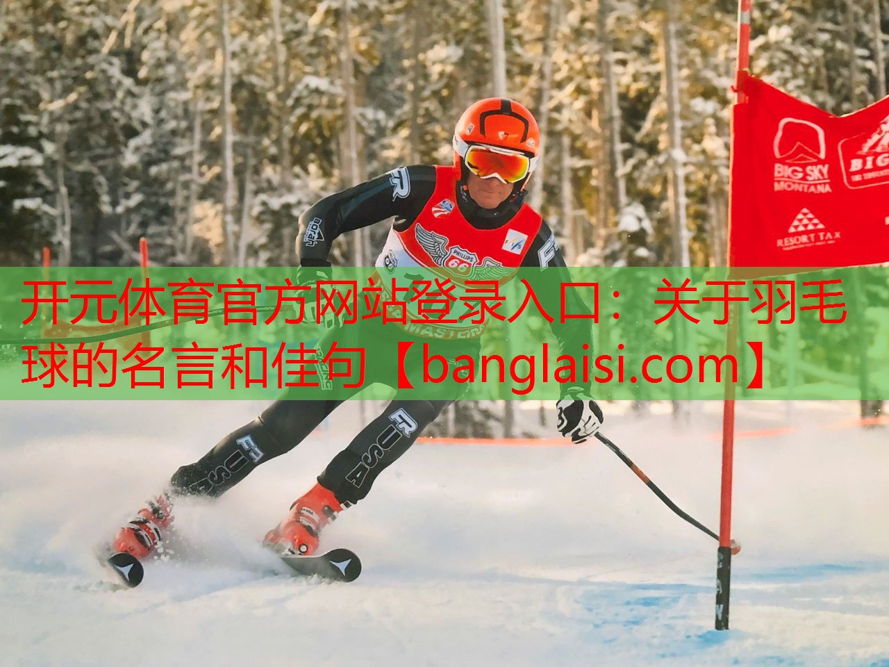<strong>开元体育官方网站登录入口：关于羽毛球的名言和佳句</strong>
