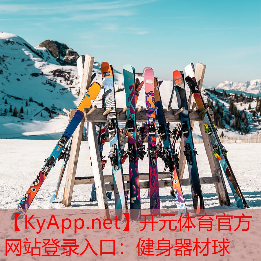 健身器材球