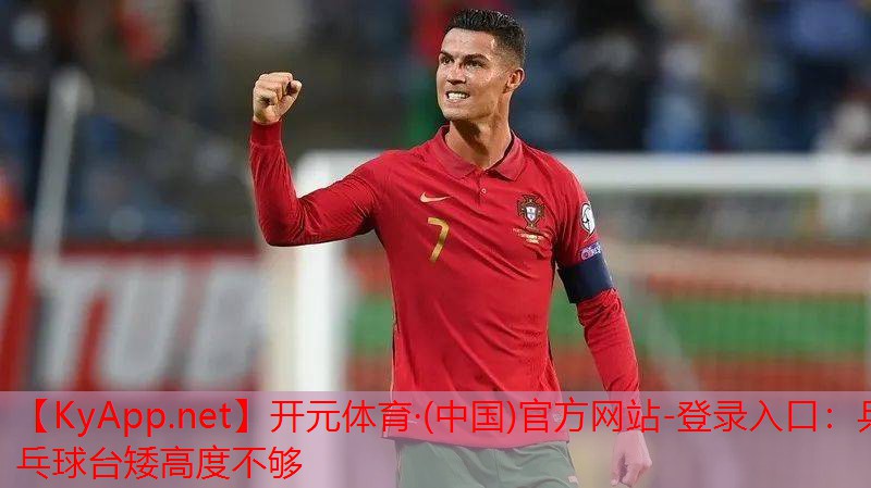 乒乓球台矮高度不够