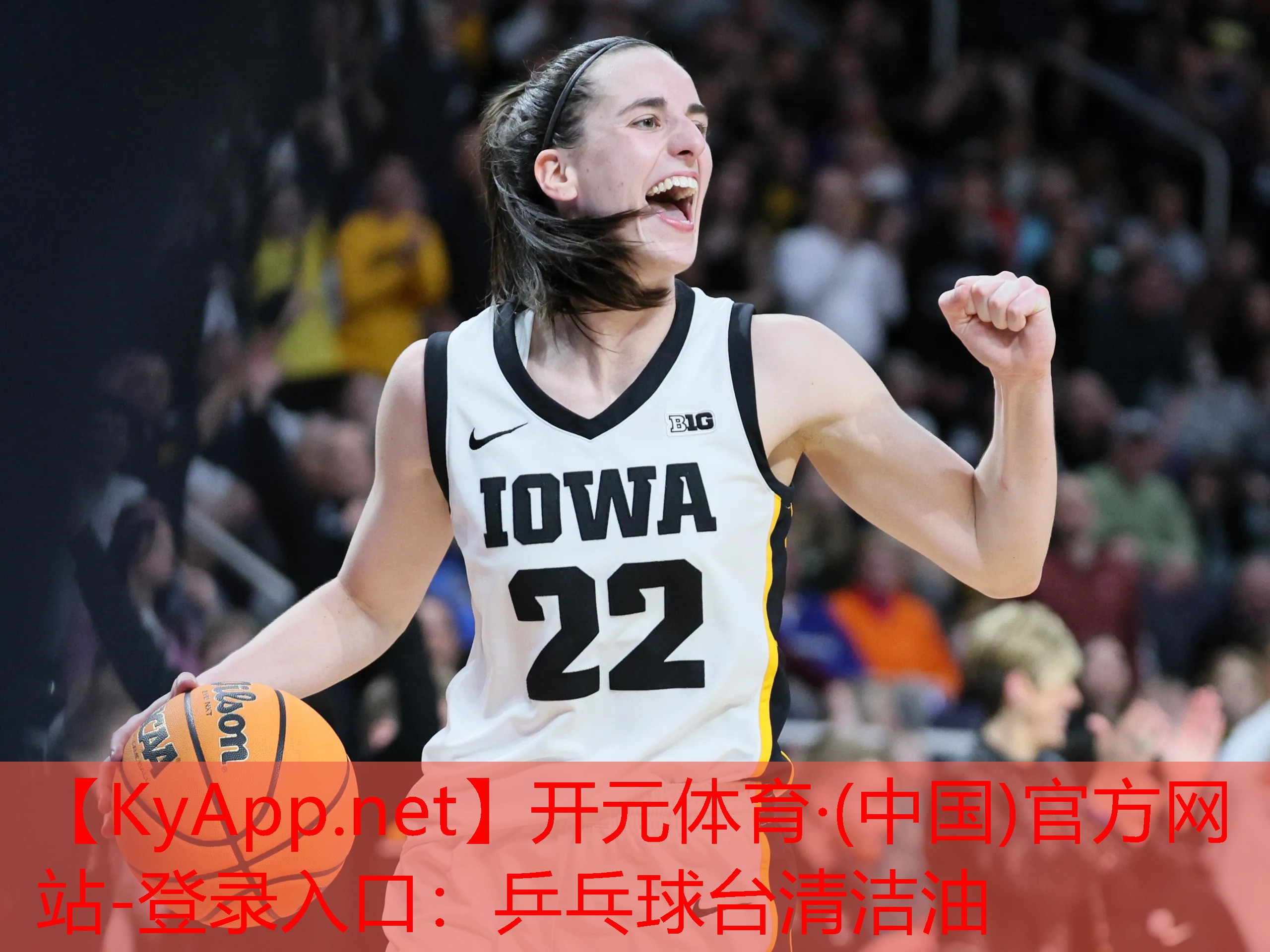乒乓球台清洁油