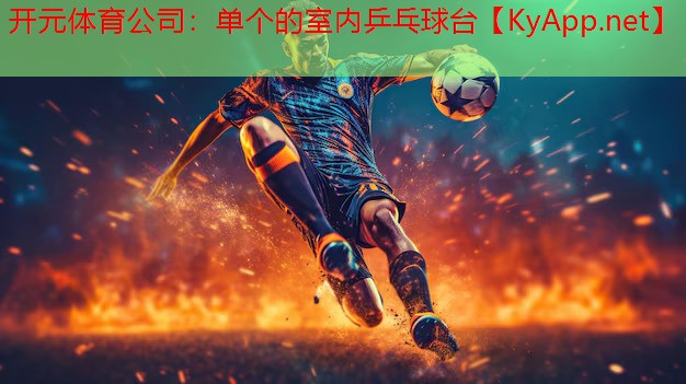 单个的室内乒乓球台