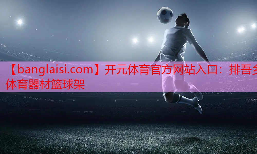 排吾乡体育器材篮球架