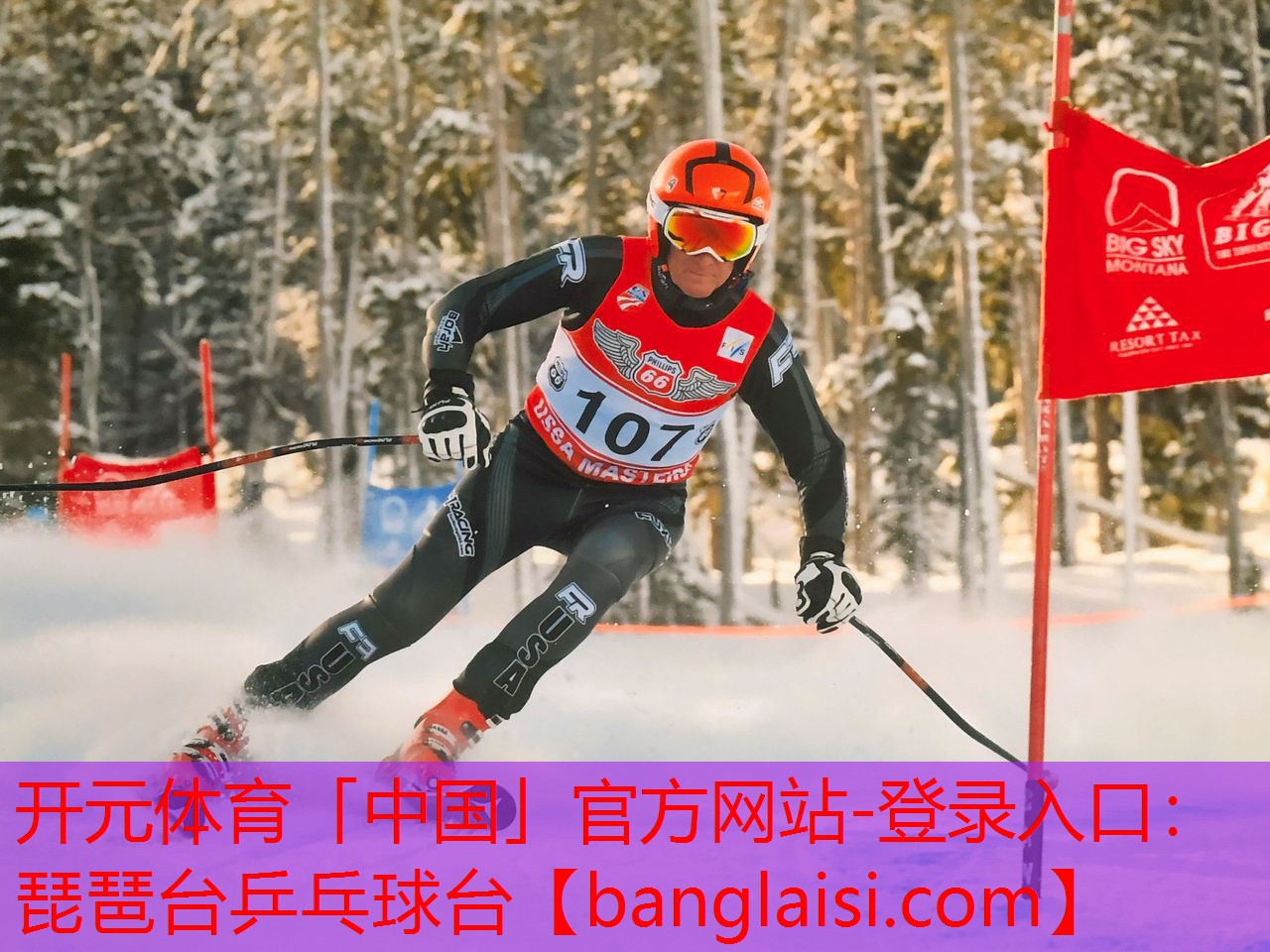 琵琶台乒乓球台