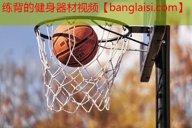 练背的健身器材视频