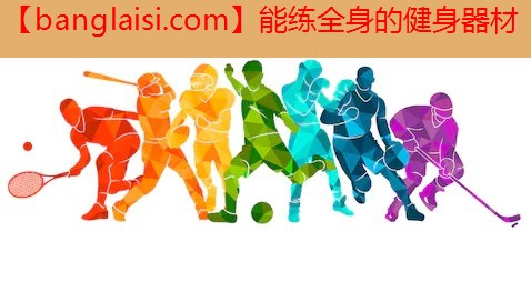 能练全身的健身器材