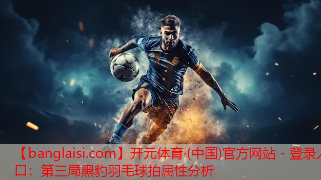 第三局黑豹羽毛球拍属性分析