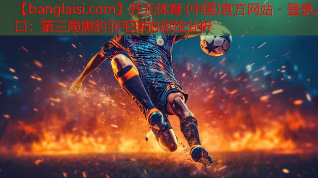 第三局黑豹羽毛球拍属性分析