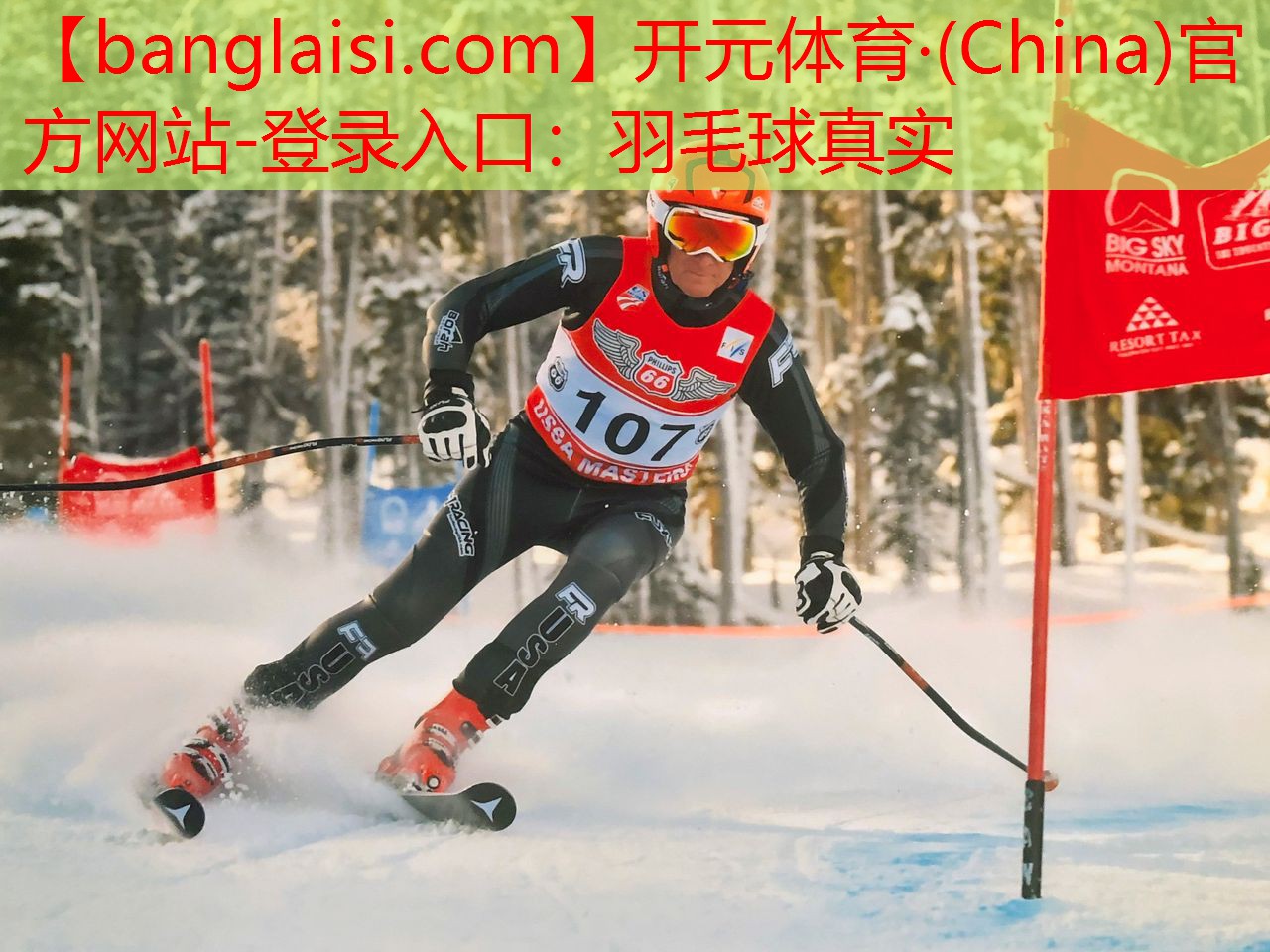 羽毛球真实