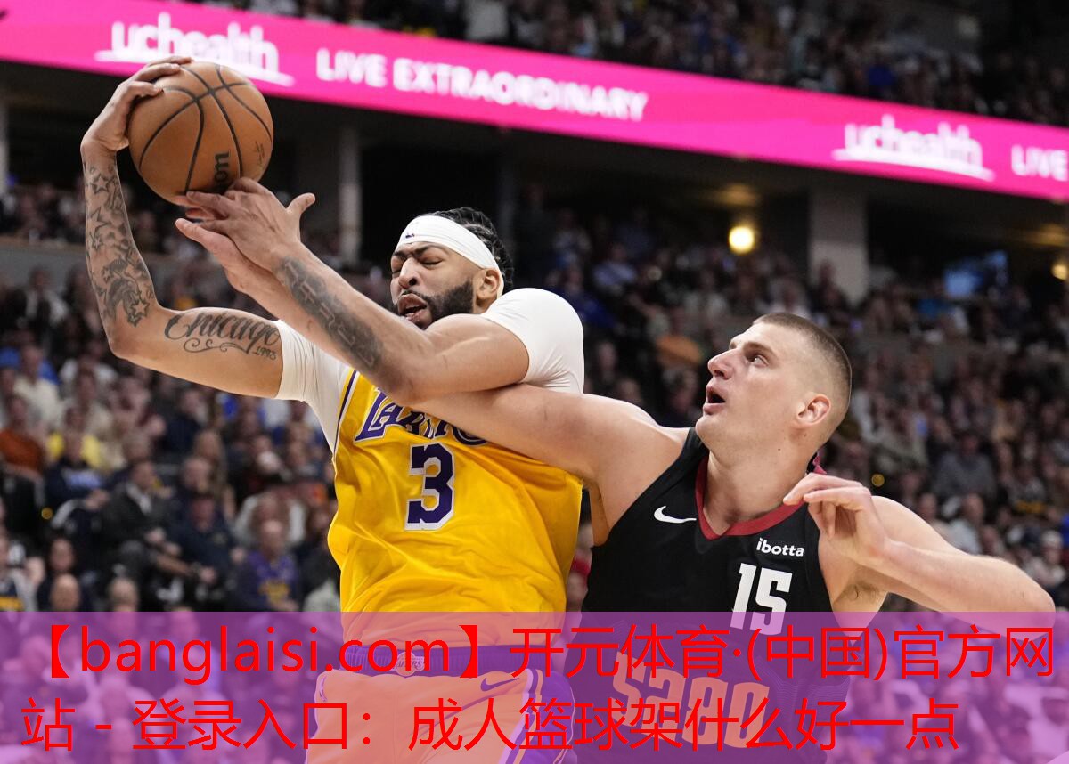 成人篮球架什么好一点