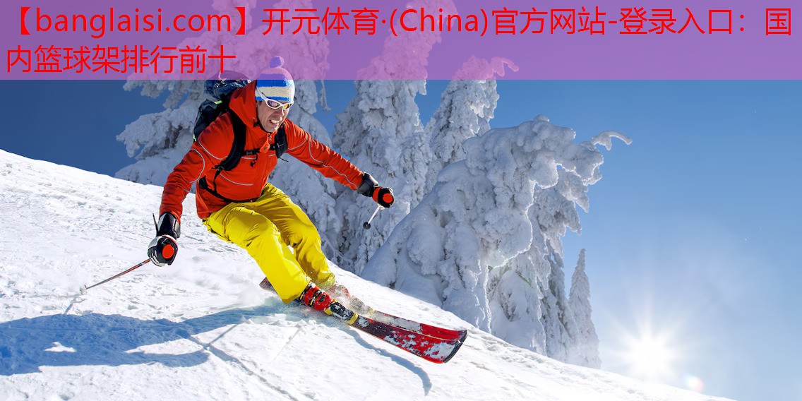 国内篮球架排行前十