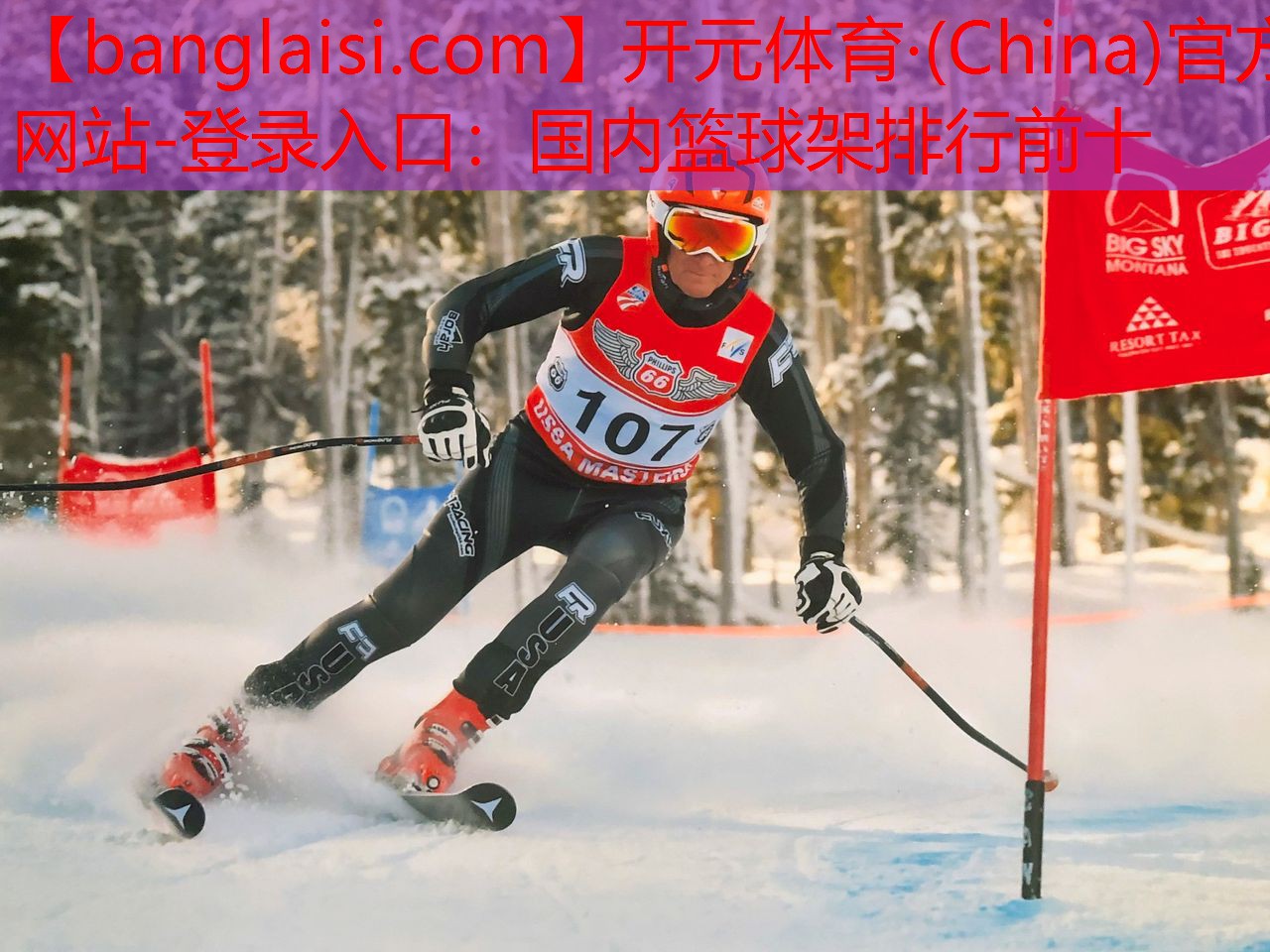 国内篮球架排行前十