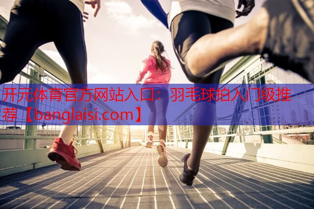 羽毛球拍入门级推荐