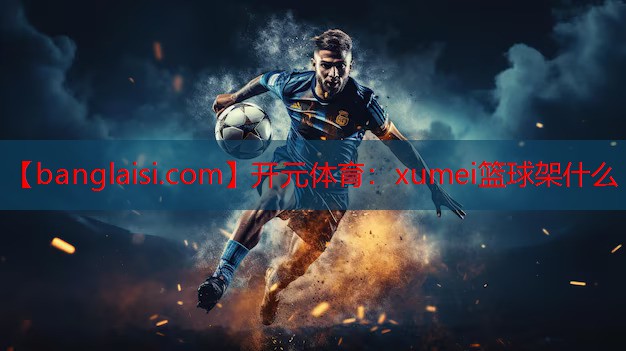 xumei篮球架什么