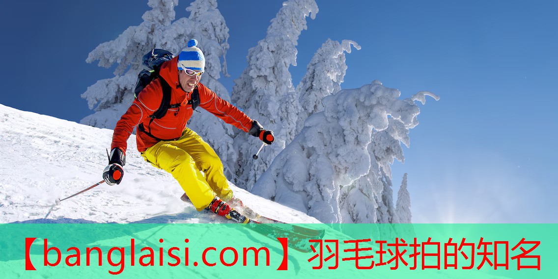 羽毛球拍的知名