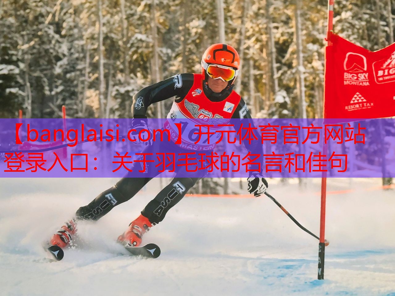 关于羽毛球的名言和佳句