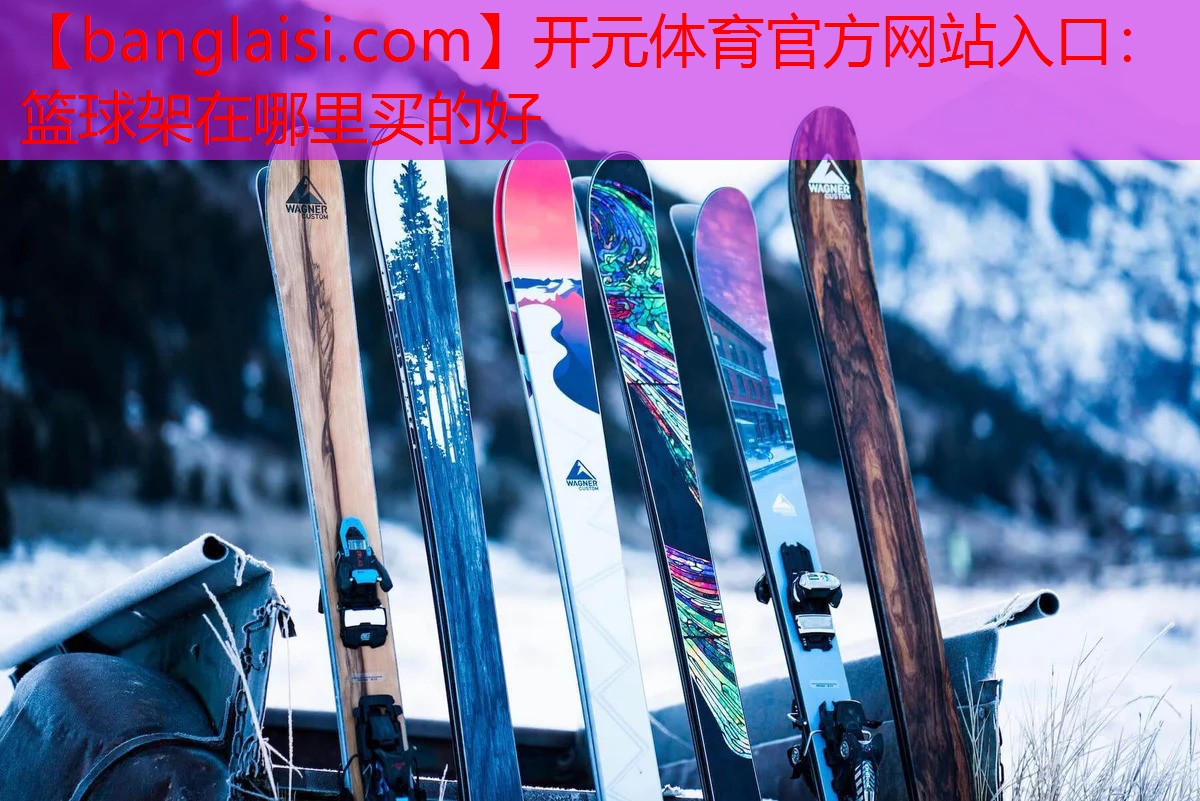 篮球架在哪里买的好